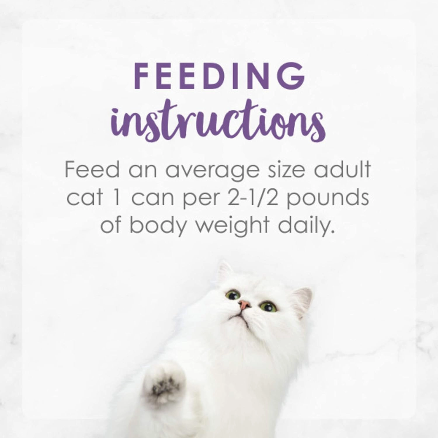 Purina Fancy Feast Wet Cat Food, Medleys Wild Salmon Florentine With Garden Greens in Delicate Sauce - (Pack of 24) 3 oz. Cans