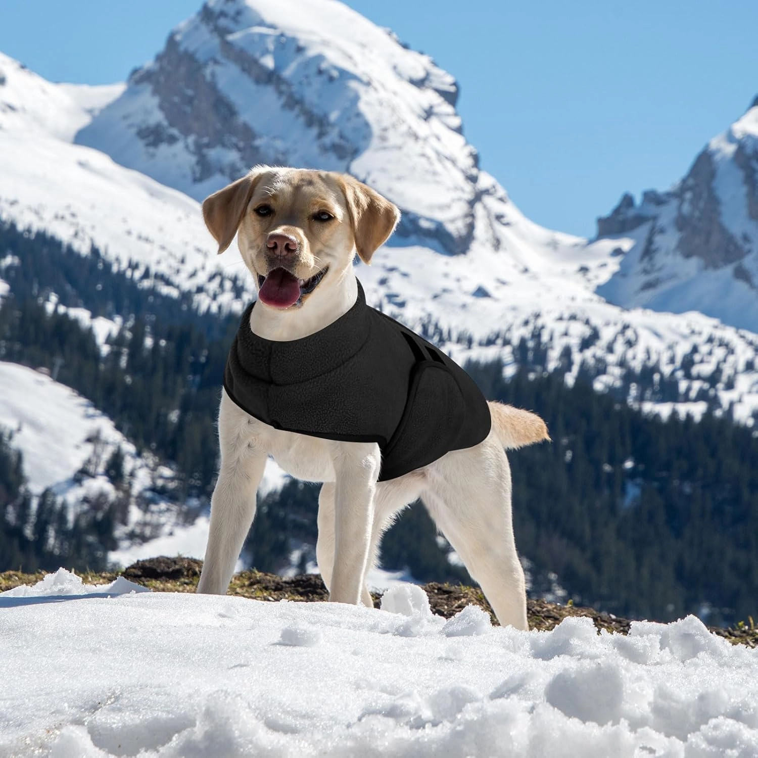 Queenmore XXS Pet Sweater, Soft Fleece Dog Vest Pullover Jacket with Leash Hole, Warm Winter Animal Clothes Cold Weather Dachshund Sweater for Small Dogs Cats Boy or Girl (Black, XXS)