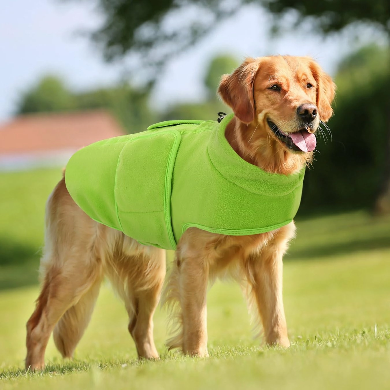 Queenmore XXS Soft Fleece Vest Pullover Dog Jacket with Leash Hole, Warm Winter Clothes for Small Dogs & Cats, Boy or Girl (Green, XXS)