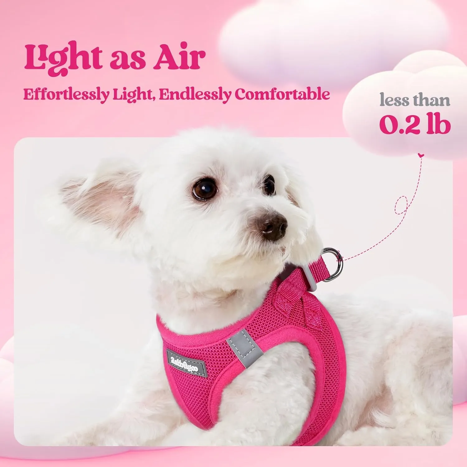 rabbitgoo Dog Harness Small Sized and Leash Set, Step in Soft Light Puppy Vest, Breathable Mesh Pet Harness, Reflective for Safe Easy Walking, Rose Red XXS