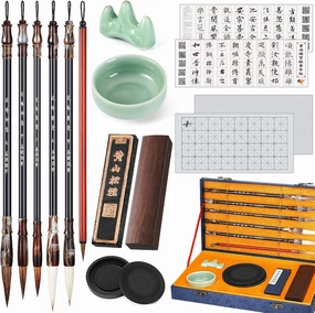 Sabary 14 Pieces Chinese Calligraphy Brushes Gift Set Painting Writing Brushes Watercolor Tools Set Sumi Painting Kanji Art Gift with Calligraphy Copy Card and Water Writing Cloth for Beginners