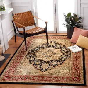 SAFAVIEH Lyndhurst Collection Area Rug - 9' x 12', Black & Red, Traditional Oriental Design, Non-Shedding & Easy Care, Ideal for High Traffic Areas in Living Room, Bedroom (LNH330Y)