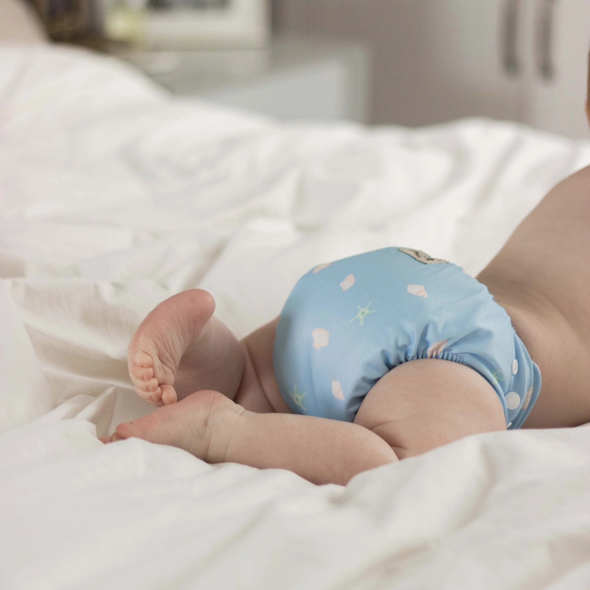 Seashells Reusable Nappy Set