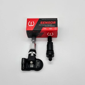 Sensor tpms Nissan Leaf, sentra, USA 407003AN1B