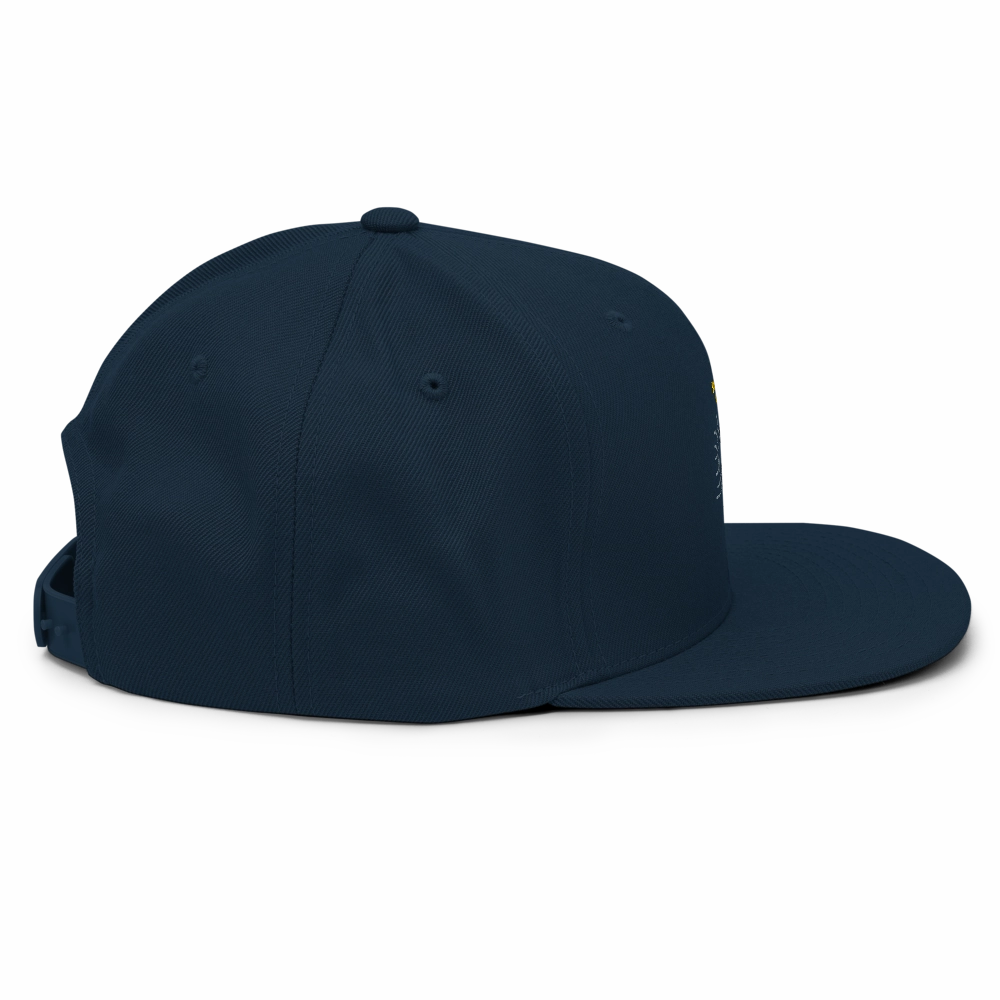 Snubbed by AI Snapback