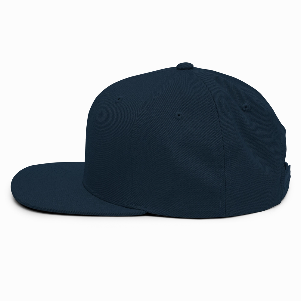 Snubbed by AI Snapback