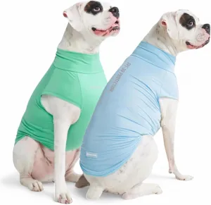 Spark Paws Dog T-Shirt, Quick Dry Soft Stretchy, Lightweight Breathable for Dogs with Sensitive Skin - Blue & Mint (Set of 2) - 2XL