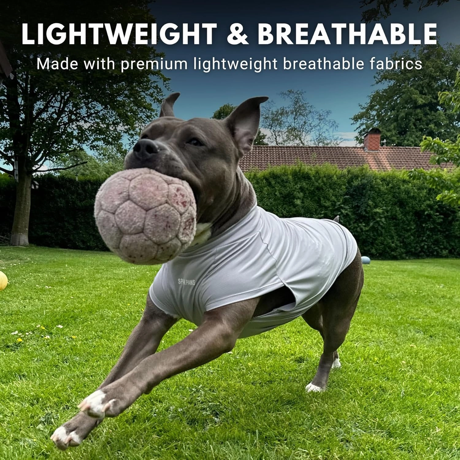 Spark Paws Dog T-Shirt, Quick Dry Soft Stretchy, Lightweight Breathable for Dogs with Sensitive Skin - Blue & Grey (Set of 2) - M