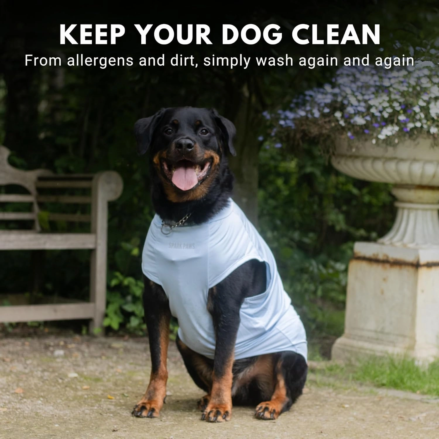 Spark Paws Dog T-Shirt, Quick Dry Soft Stretchy, Lightweight Breathable for Dogs with Sensitive Skin - Blue & Grey (Set of 2) - M