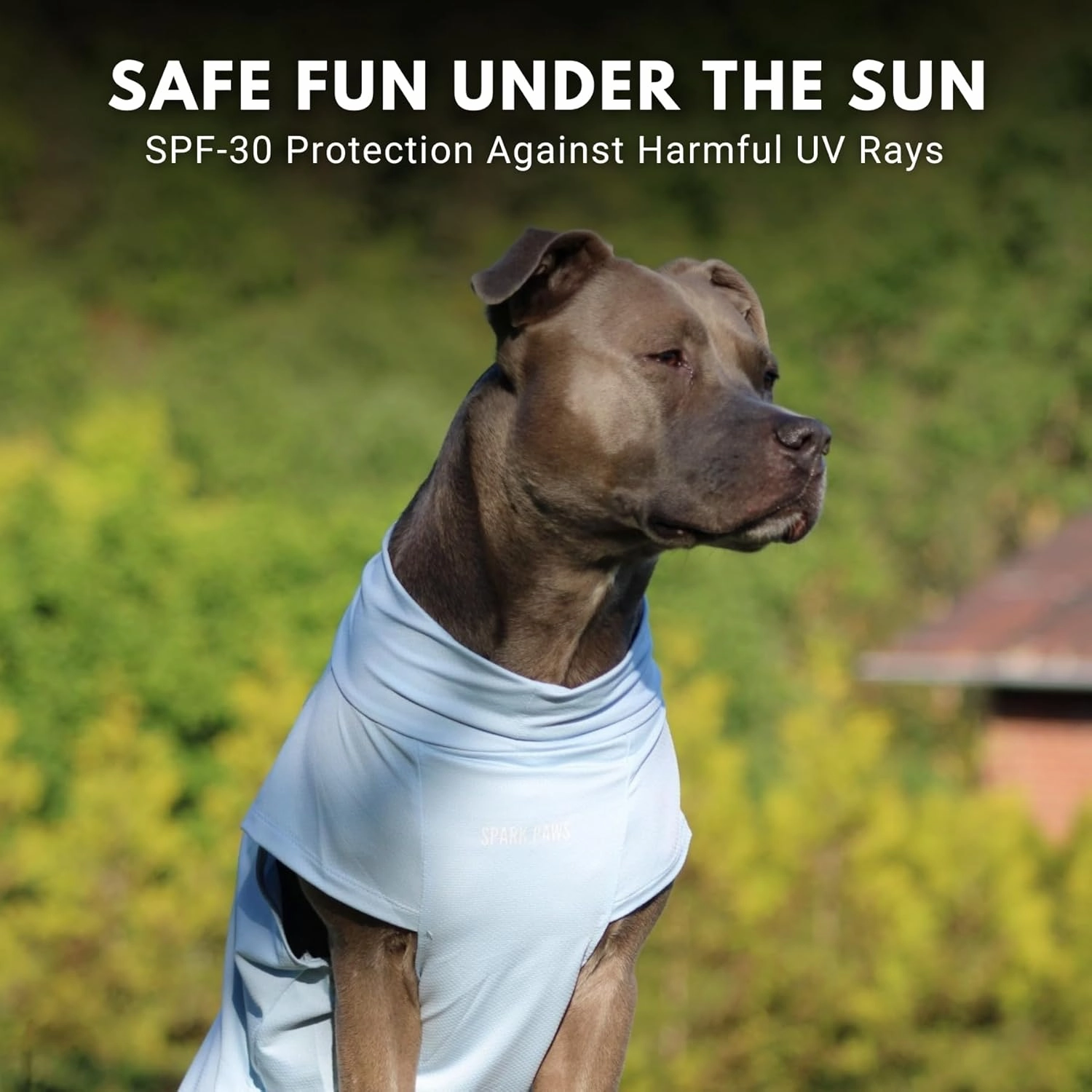 Spark Paws Dog T-Shirt, Quick Dry Soft Stretchy, Lightweight Breathable for Dogs with Sensitive Skin - Blue & Mint (Set of 2) - M