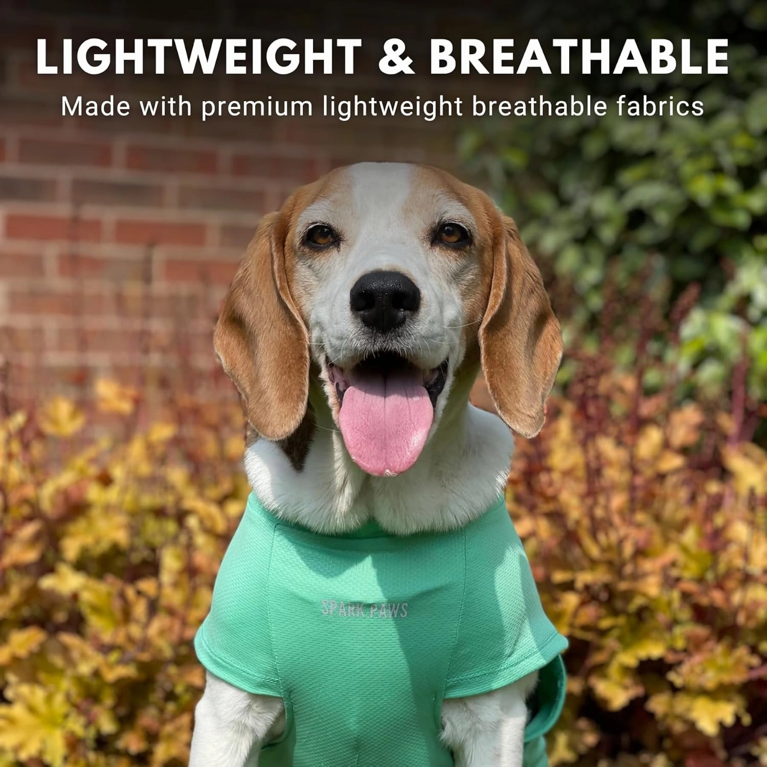 Spark Paws Dog T-Shirt, Quick Dry Soft Stretchy, Lightweight Breathable for Dogs with Sensitive Skin - Blue & Mint (Set of 2) - M