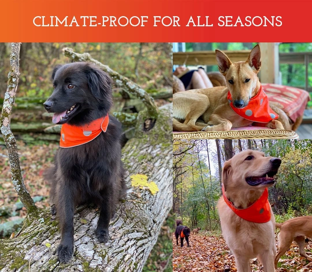 SPOT THE DOG! Reflective Dog Bandanas - High Visibility Safety Dog Accessories for Small, Large Dogs, Orange Collar, Scarf, Kerchief, Bib for Hunting, Camping, Walking at Night (Blaze Orange, L-XL)