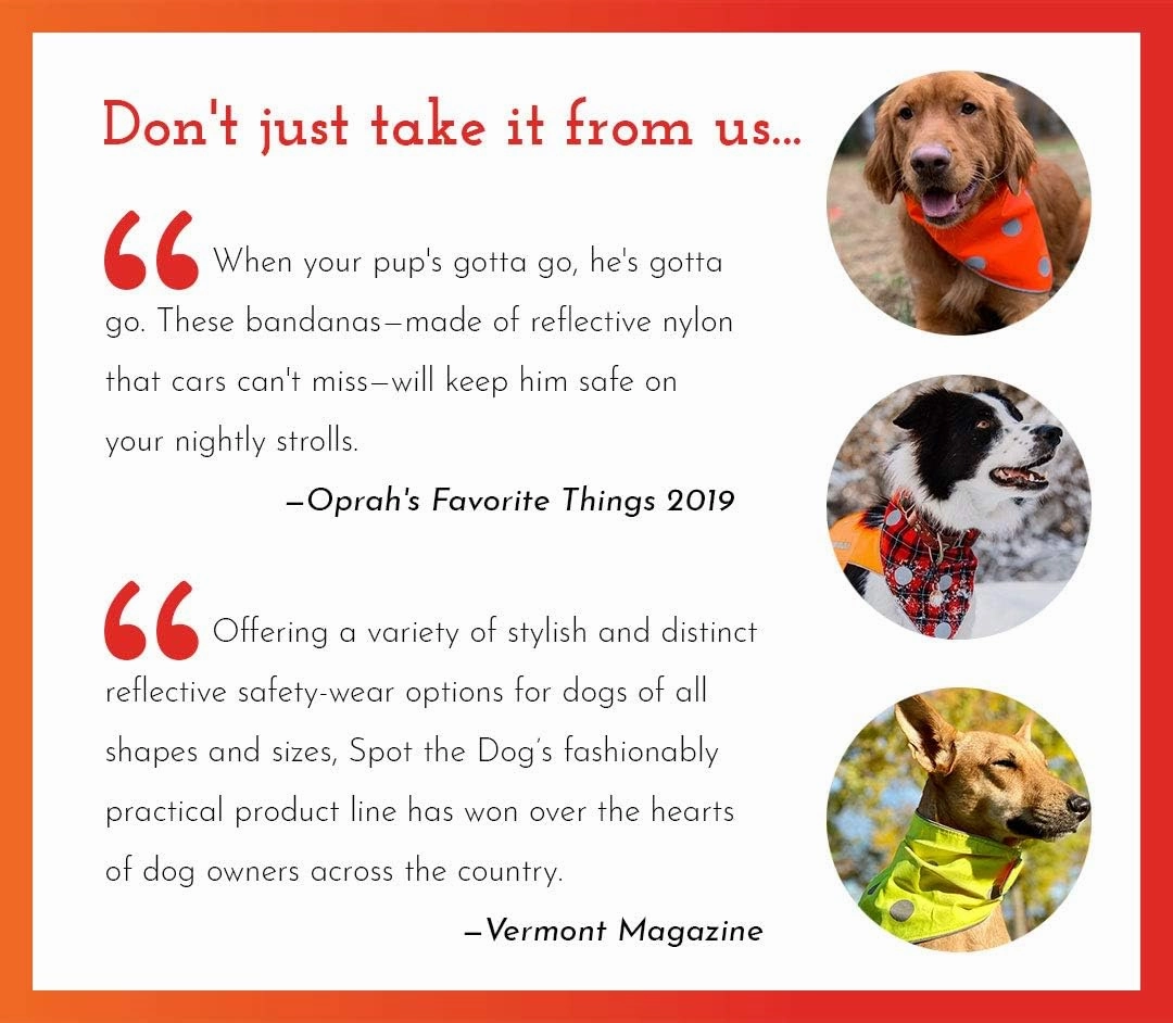 SPOT THE DOG! Reflective Dog Bandanas - High Visibility Safety Dog Accessories for Small, Large Dogs, Orange Collar, Scarf, Kerchief, Bib for Hunting, Camping, Walking at Night (Blaze Orange, L-XL)