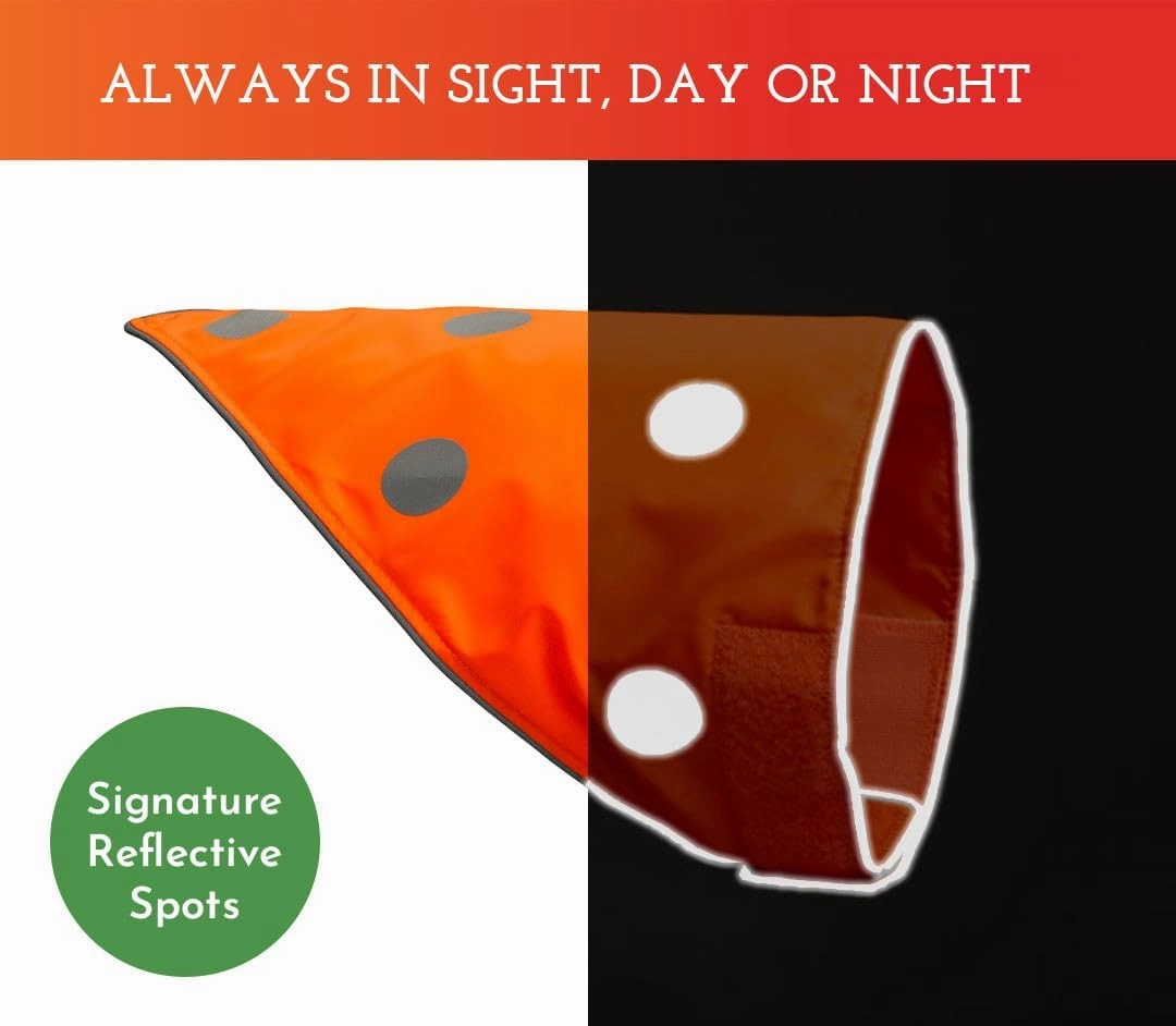 SPOT THE DOG! Reflective Dog Bandanas - High Visibility Safety Dog Accessories for Small, Large Dogs, Orange Collar, Scarf, Kerchief, Bib for Hunting, Camping, Walking at Night (Blaze Orange, L-XL)