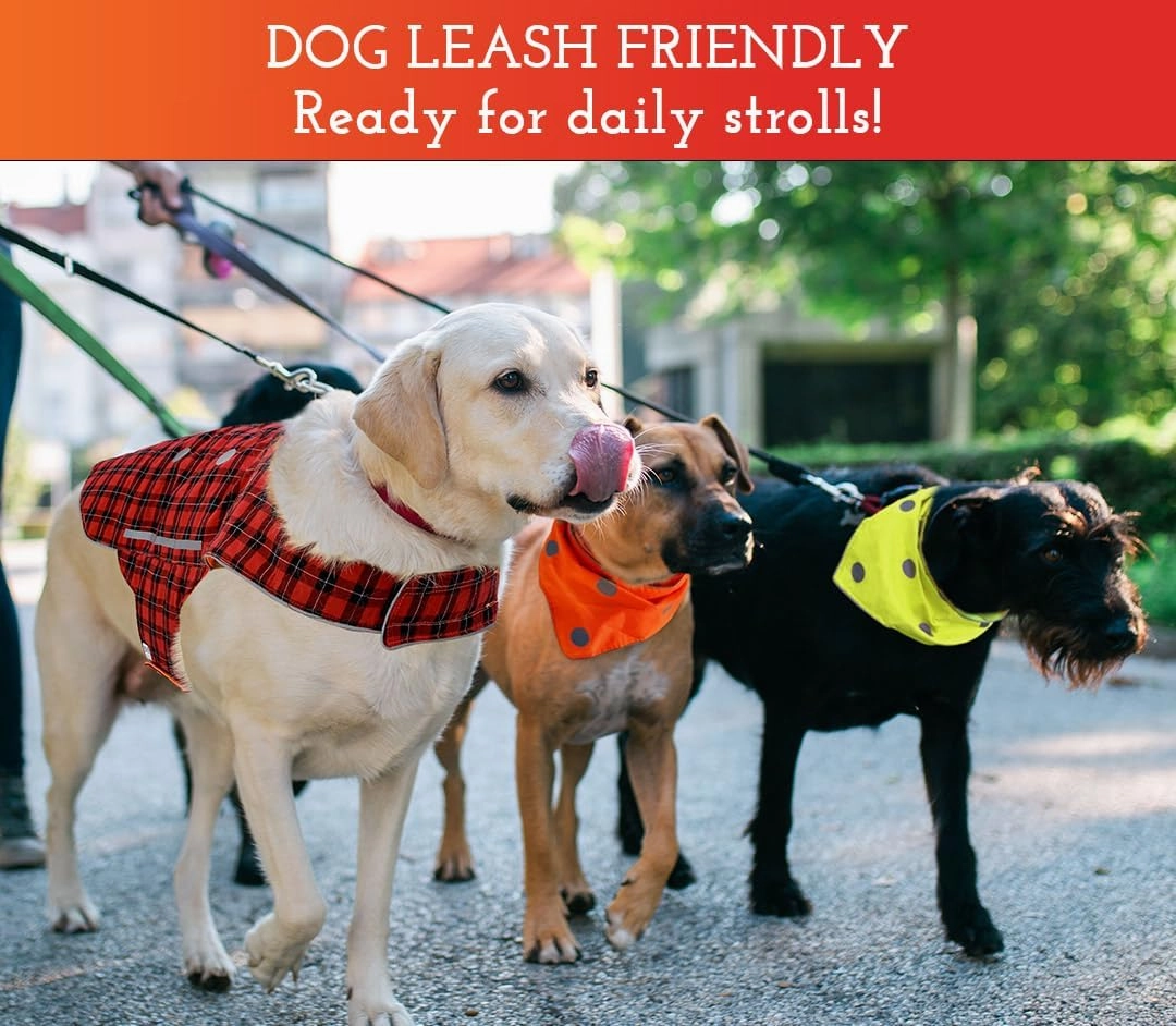 SPOT THE DOG! Reflective Dog Bandanas - High Visibility Safety Dog Accessories for Small, Large Dogs, Orange Collar, Scarf, Kerchief, Bib for Hunting, Camping, Walking at Night (Blaze Orange, L-XL)