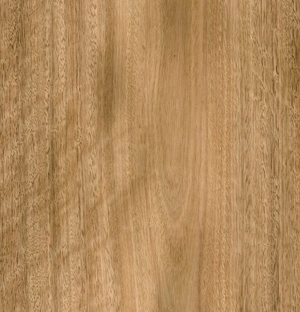 Spotted Gum Plywood Veneer Crown Cut