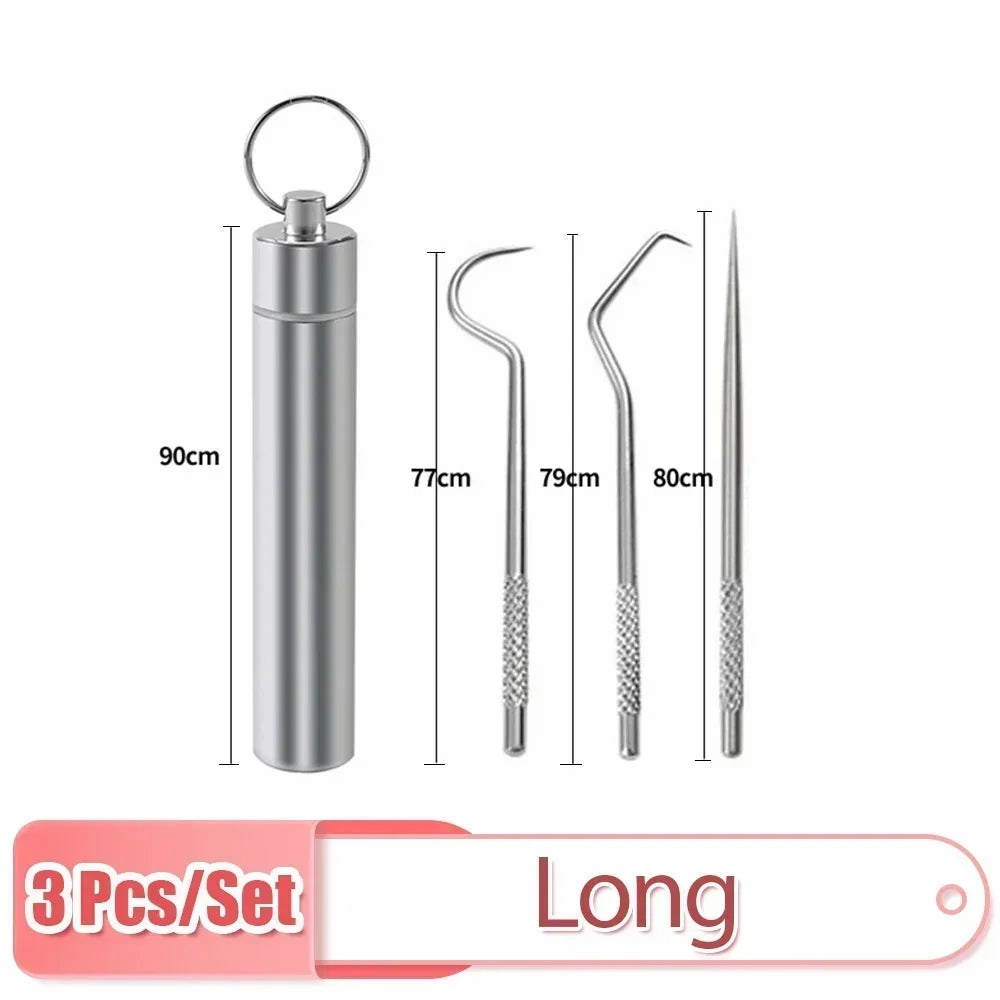 Stainless Steel Toothpick Set Reusable