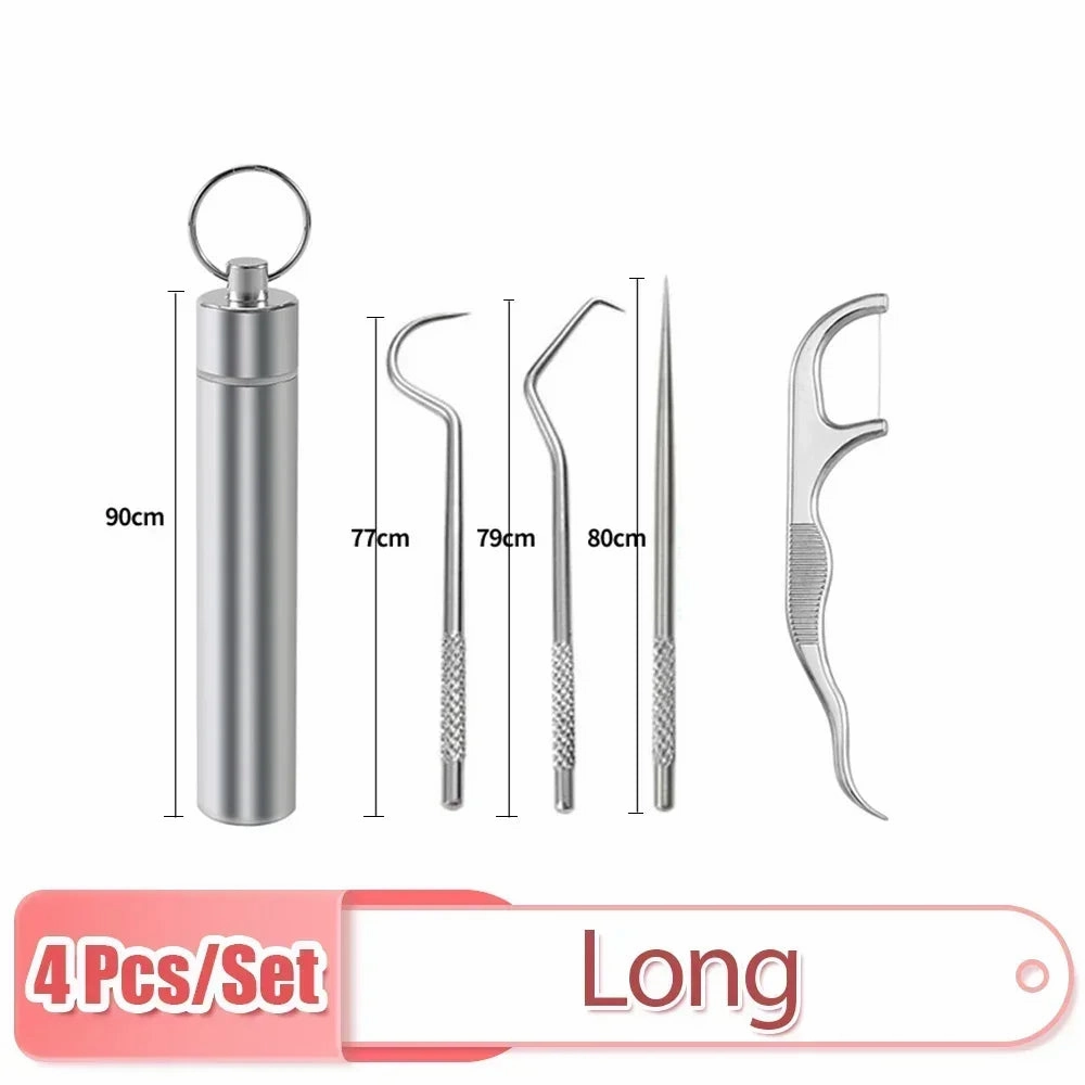 Stainless Steel Toothpick Set Reusable