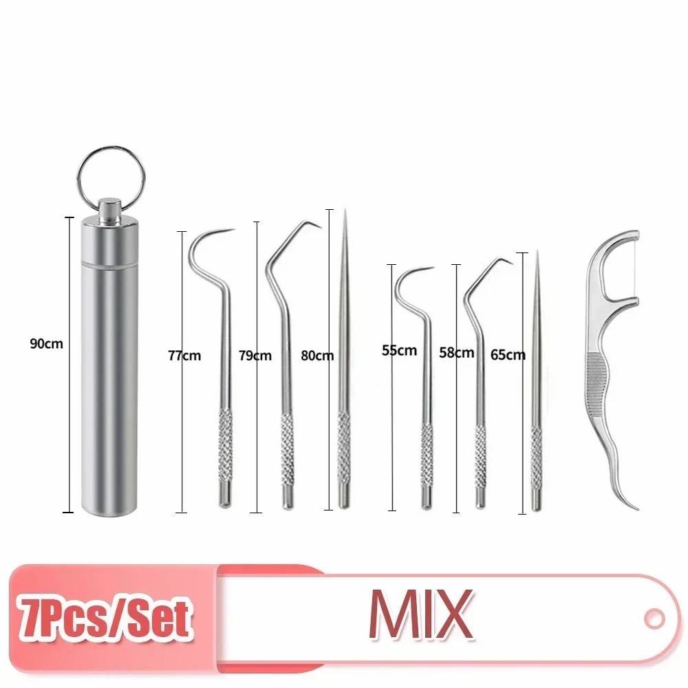 Stainless Steel Toothpick Set Reusable