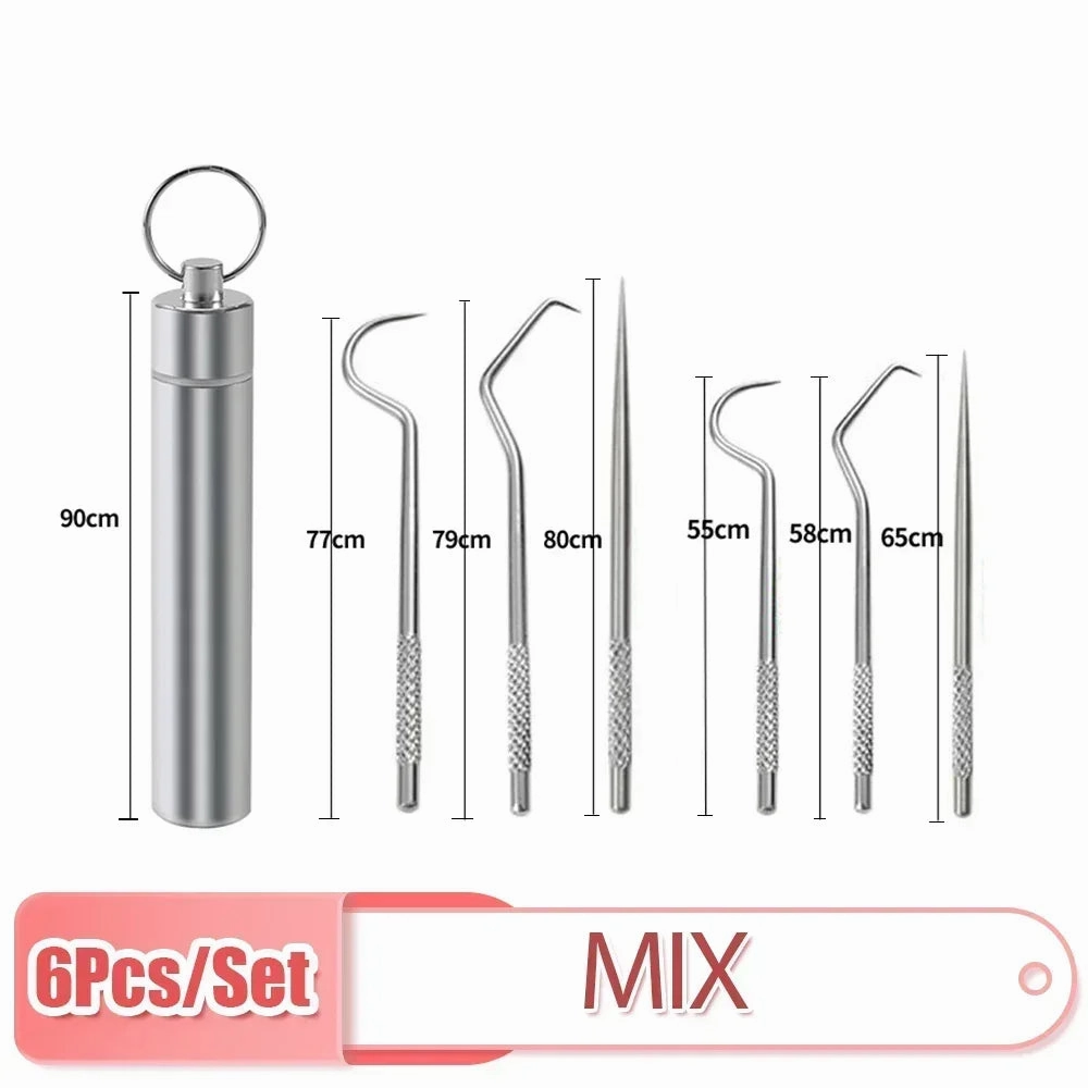 Stainless Steel Toothpick Set Reusable