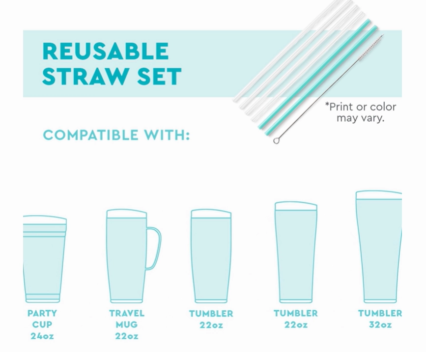 Swig - Reusable Straw Set - Teacher Life