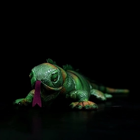 Tiny Heart Realistic Green Sideburns Lizard Plush Toy, 26 Inch Super Soft Realistic Plush Stuffed Lizard Reptile Doll Home Decor Boy Kids Birthday Gift…