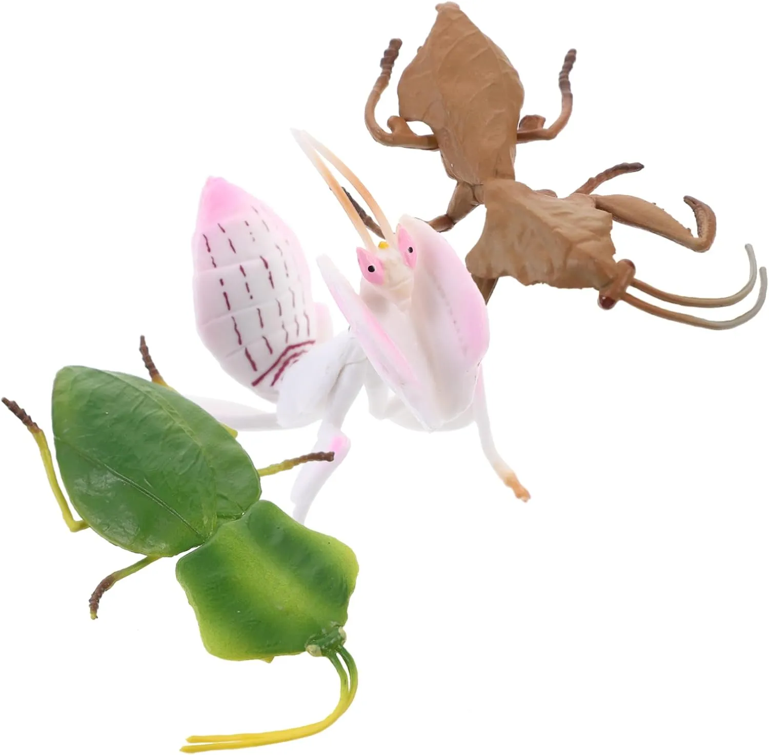 TOYANDONA Desktop Decor 3pcs Plastic Plastic Playes Desktop Toys Realistic Simulation Model Simulation Model Small Mantis Decoration Animal Decorate Orchid Statue Child Kids Playset