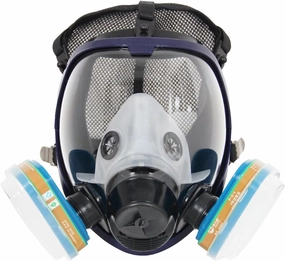 Trudsafe Complete Suit 6800 Reusable Full Face Respirator for Painting, Polishing, Welding and Dust, 2 Kinds of Connectors, Gas Cover Respirator with Organic Vapor Filter