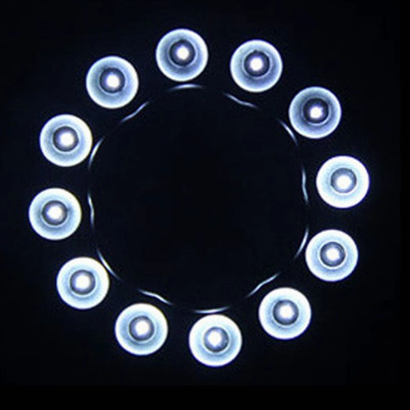 Ultra Bright Portable Lantern