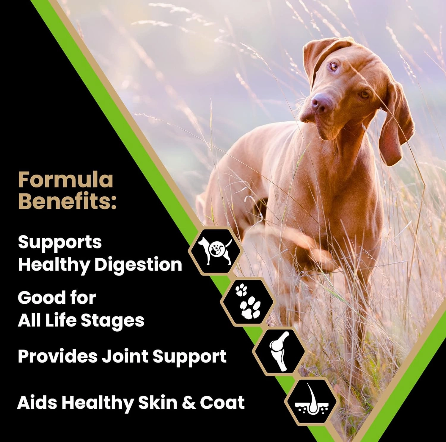 VICTOR Super Premium Dog Food – Elite Canine Dry Dog Food with Chicken & Fish Meal – 25% Protein, 14% Fat, Gluten Free – for Large Breed Dogs & Puppies, 40lbs
