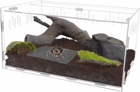 winemana Reptile Terrarium, Tarantula Enclosure, 16" x 11" x 6" Acrylic Large Feeding Tarantula Habitat Box for Small Animals Insect Home Office