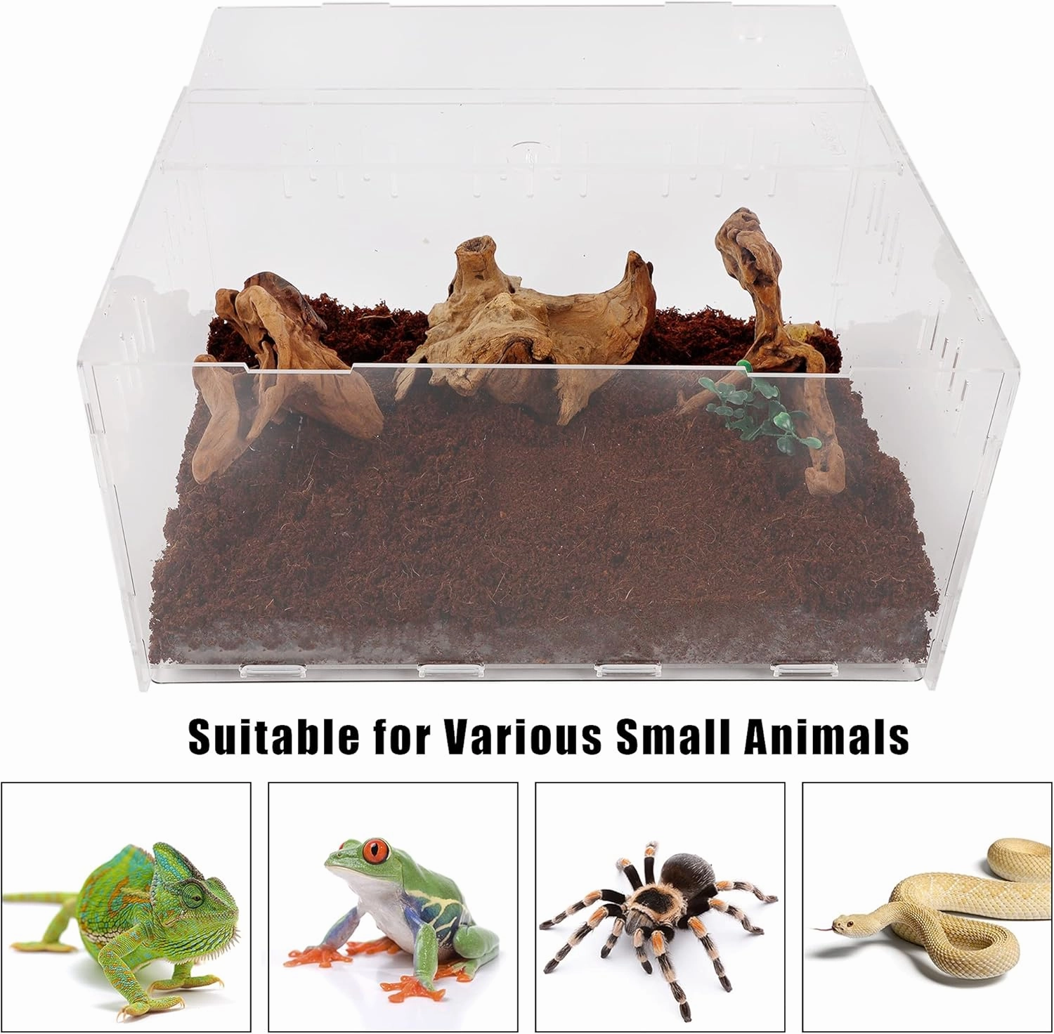 winemana Reptile Terrarium, Tarantula Enclosure, 16" x 11" x 6" Acrylic Large Feeding Tarantula Habitat Box for Small Animals Insect Home Office