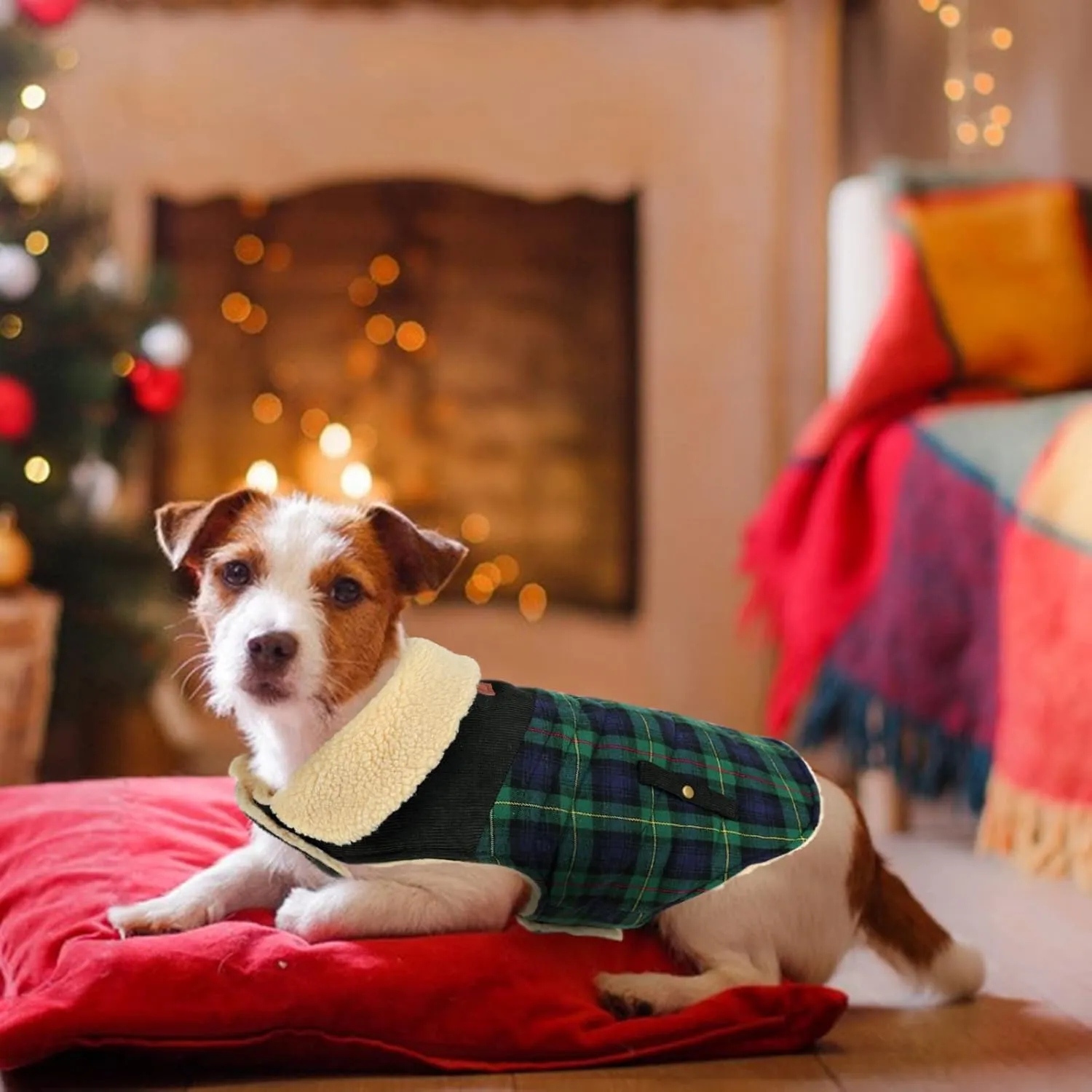 Winter Coat for Small and Medium Dogs, Puppy Plaid Jacket, Cotton Coat for Cold Weather, Windproof Warm Dog Garments, Pet Thickened Outfits Indoor Outdoor, Green XS