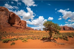 YongFoto 6x4ft Sandstone Desert Backdrop Monument Valley Desert Plant Blue Sky White Clouds Natural Landscape Photography Background Travel Journey Trip Hiking Party Portrait Photo Studio Props