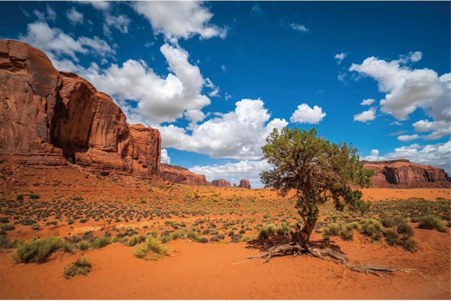 YongFoto 6x4ft Sandstone Desert Backdrop Monument Valley Desert Plant Blue Sky White Clouds Natural Landscape Photography Background Travel Journey Trip Hiking Party Portrait Photo Studio Props
