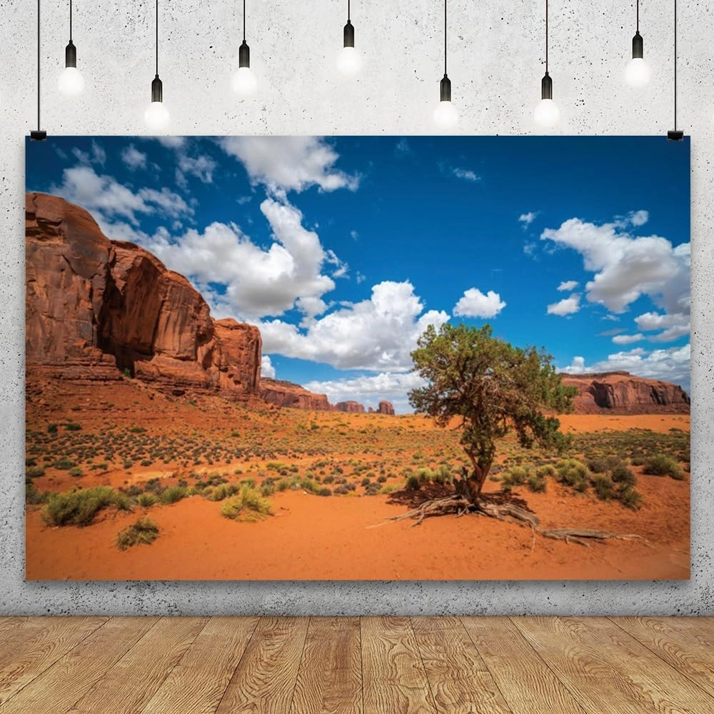 YongFoto 6x4ft Sandstone Desert Backdrop Monument Valley Desert Plant Blue Sky White Clouds Natural Landscape Photography Background Travel Journey Trip Hiking Party Portrait Photo Studio Props