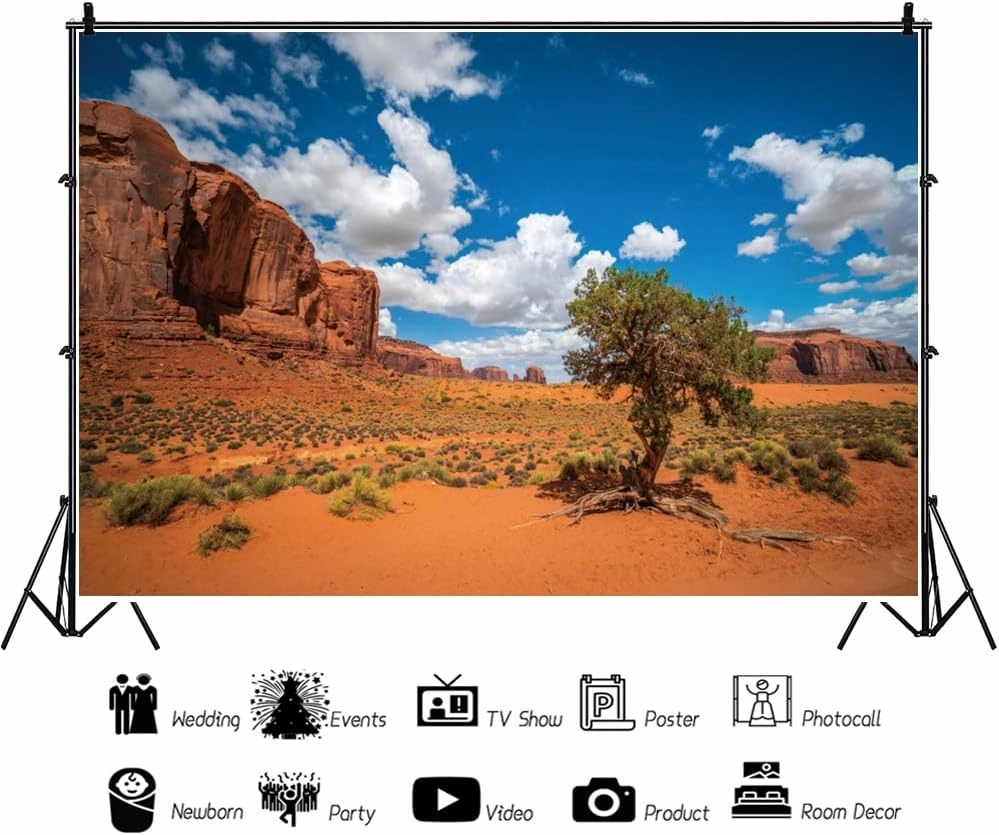 YongFoto 6x4ft Sandstone Desert Backdrop Monument Valley Desert Plant Blue Sky White Clouds Natural Landscape Photography Background Travel Journey Trip Hiking Party Portrait Photo Studio Props